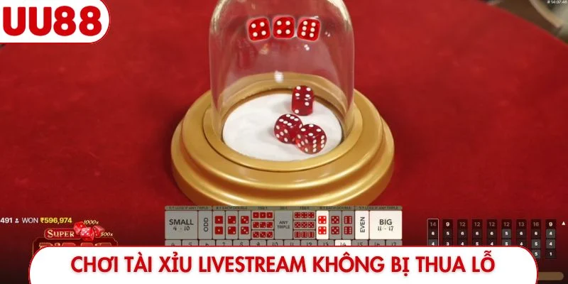 Chơi Tài xỉu livestream không bị thua lỗ
