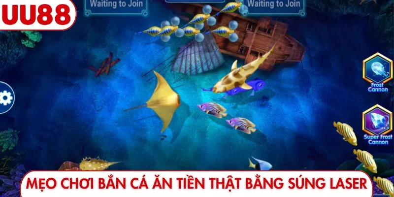 Mẹo chơi bắn cá ăn tiền thật bằng súng laser